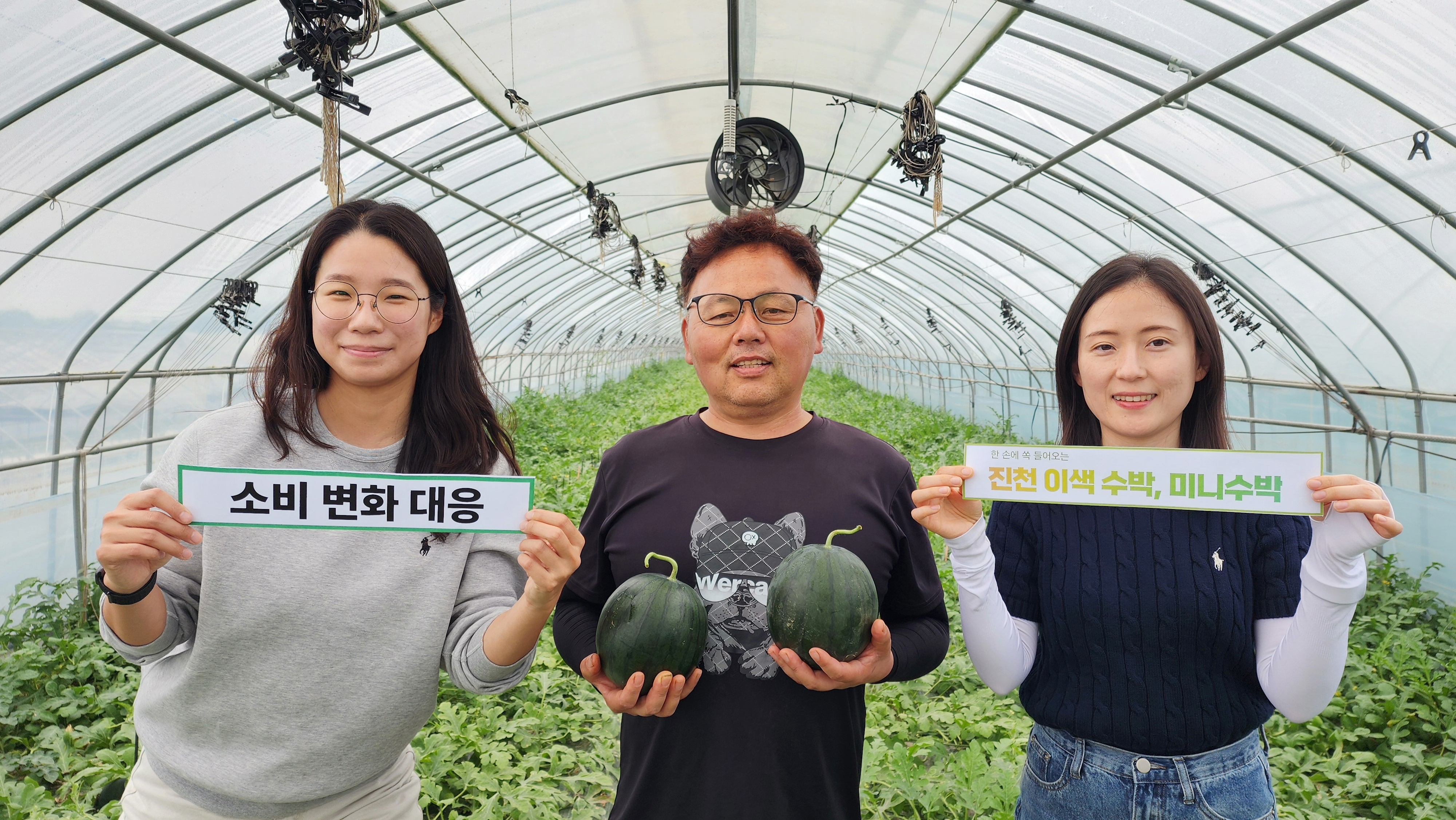 덕산읍 생산 세자수박, 11~12브릭스 형성…크지 않고 달아 1인 가구, 캠핑족에 인기
초평면 애플수박도 출하 시작…매출액 9억원 예상
진천읍 속이 노란 블랙보스수박 6월 중순 출하 예정…서울 가락시장 유통