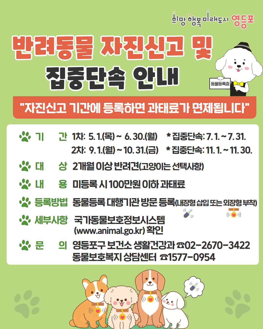 영등포구, 2개월 이상 반려견 동물등록 신고 안내