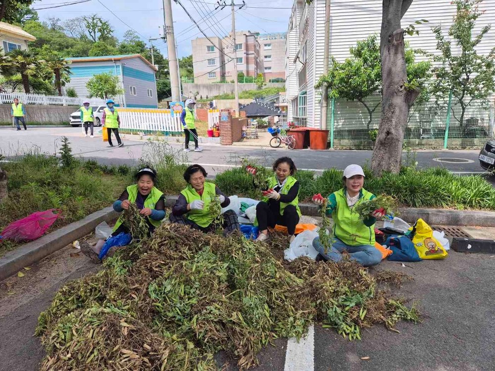 죽교동 주민자치위원회, 직접 재배한 완두콩으로 이웃사랑 실천