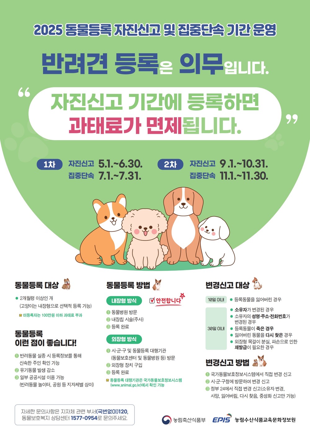 반려동물 등록하세요! 강서구, 6월까지 자진신고 기간 운영