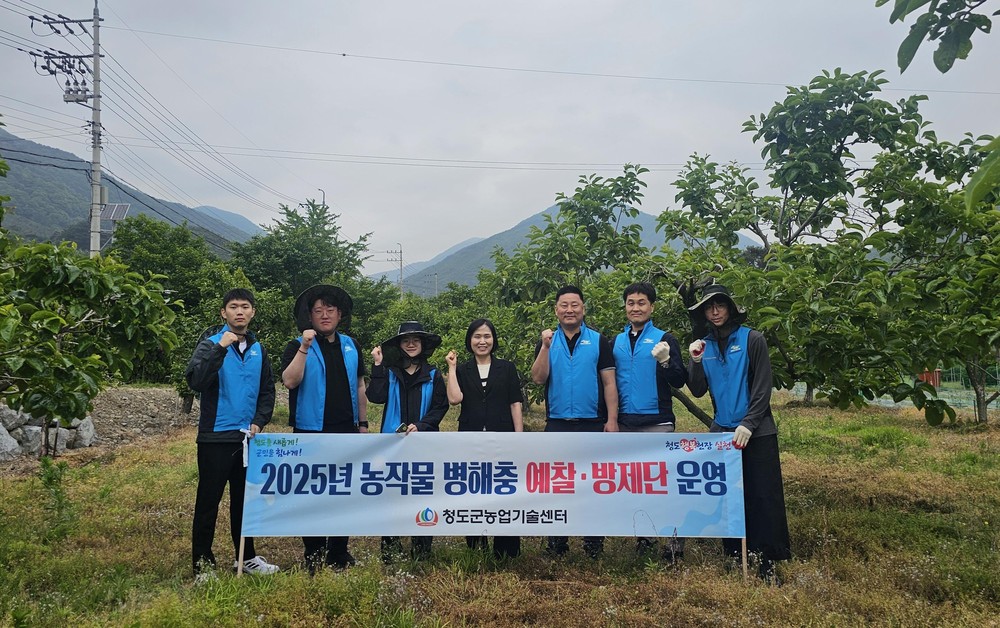 청도군, 과수 돌발해충 정밀 예찰… 공동방제로 확산 사전 차단