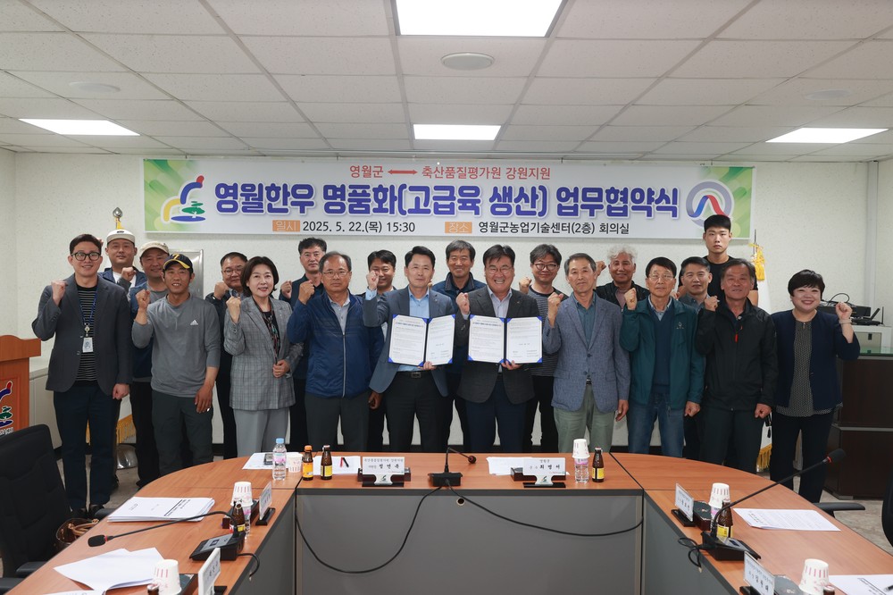 영월군, 영월한우 명품화 사업 추진 5개년 계획 수립
