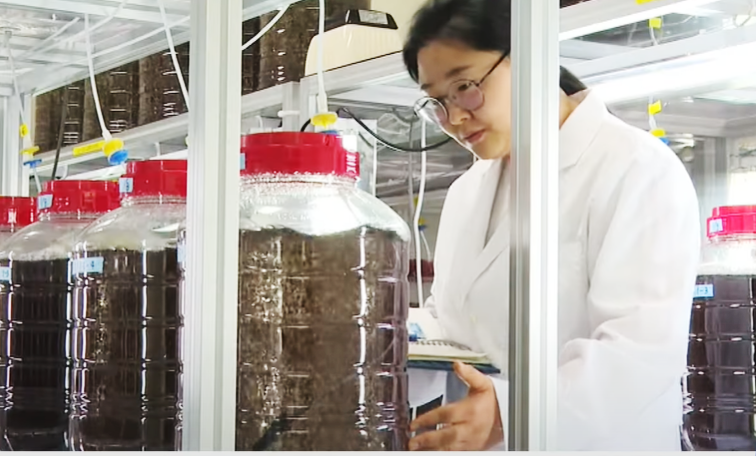 전북자치도, 김 육상양식 기술개발 거점 도약… 국가R&D 예산 350억 확보