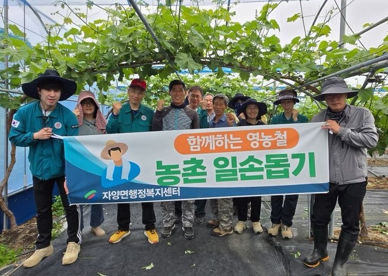 자양면, 영농철 농촌일손돕기 실시