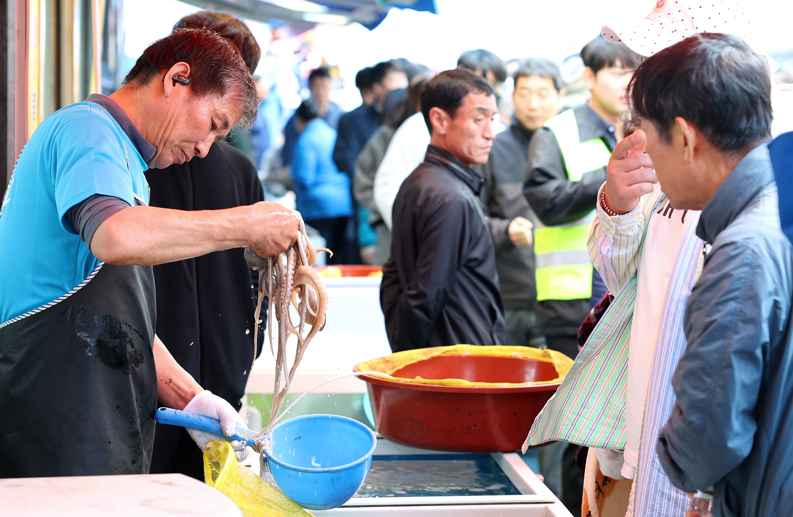 5월의 마지막 날, 놓치면 손해 ‘마량놀토’로 오세요~
