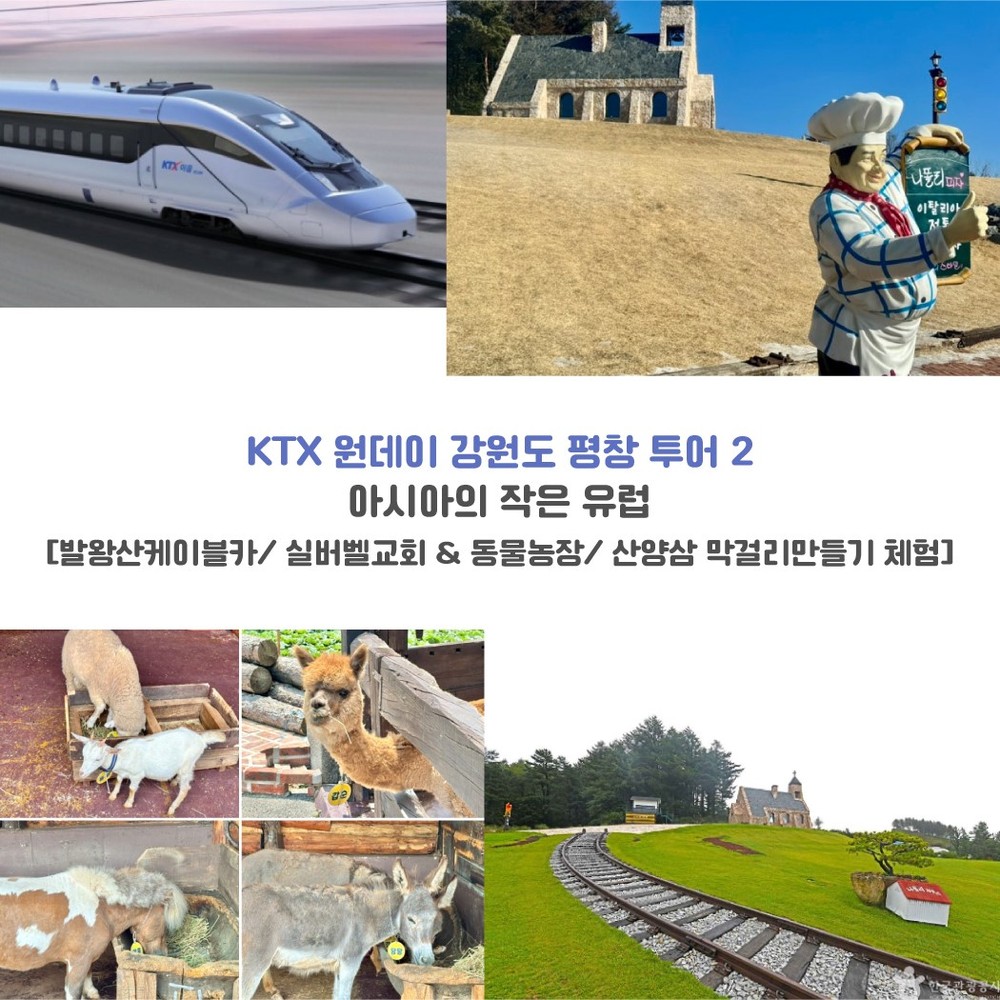 평창군, 2025년 철도 관광상품 운영