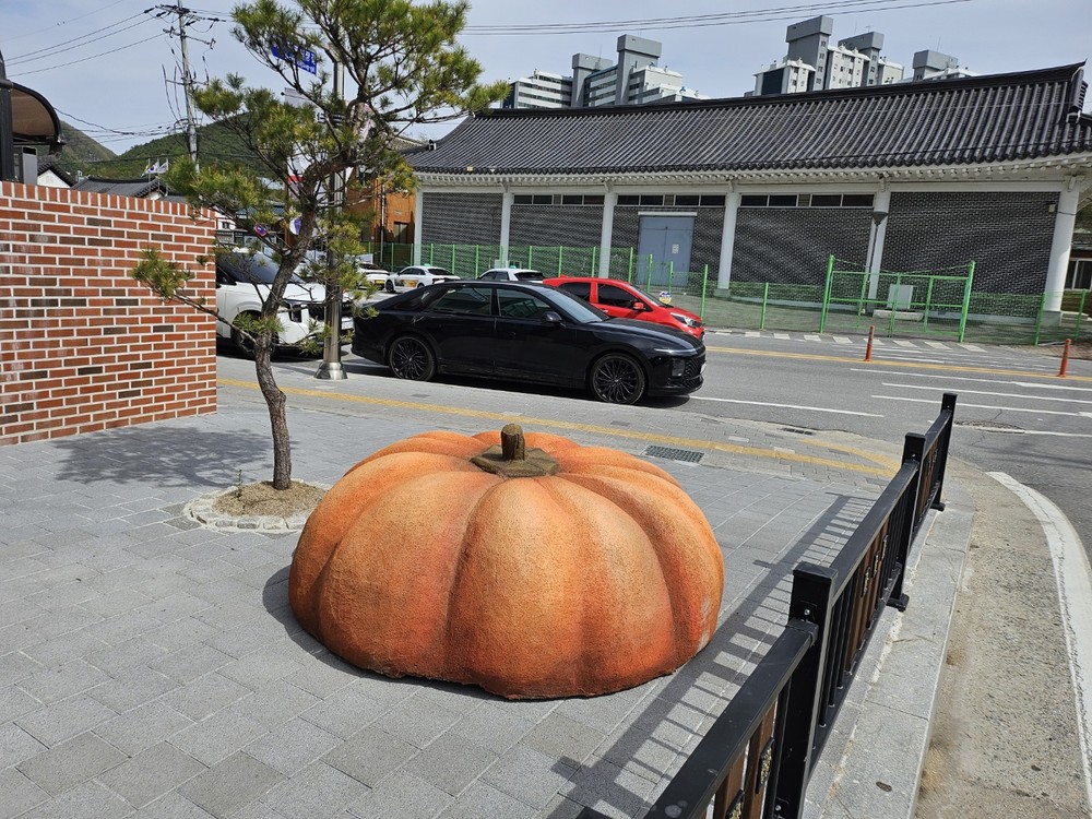 영월군, 안전하고 따뜻한 도시환경 조성