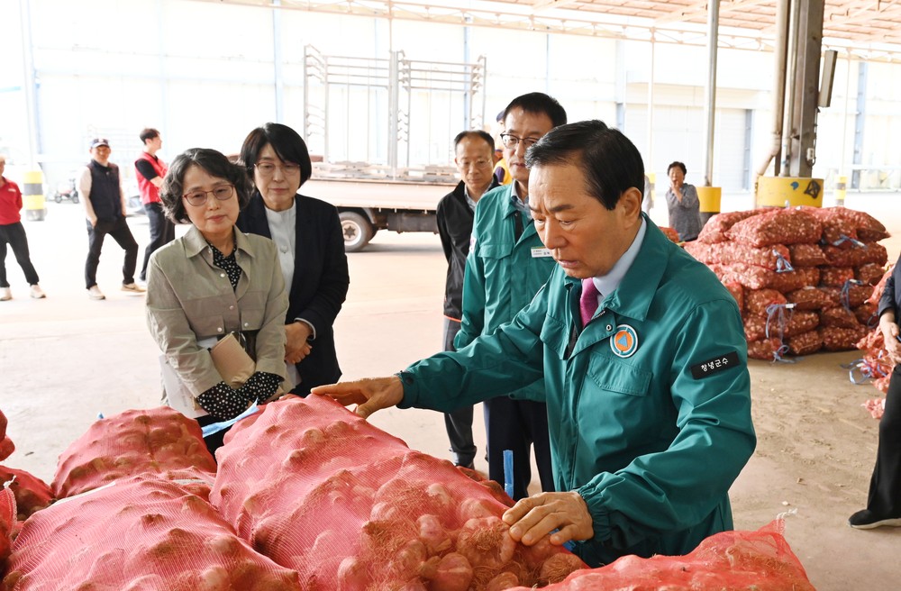 성낙인 창녕군수, 풋대마늘 경매 첫날 현장 방문