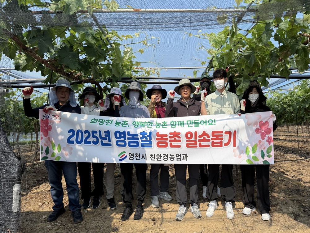영천시 친환경농업과, 구슬땀 흘리며 농촌일손돕기 힘 보태
화남면 포도 농가 찾아 순치기 작업 도와