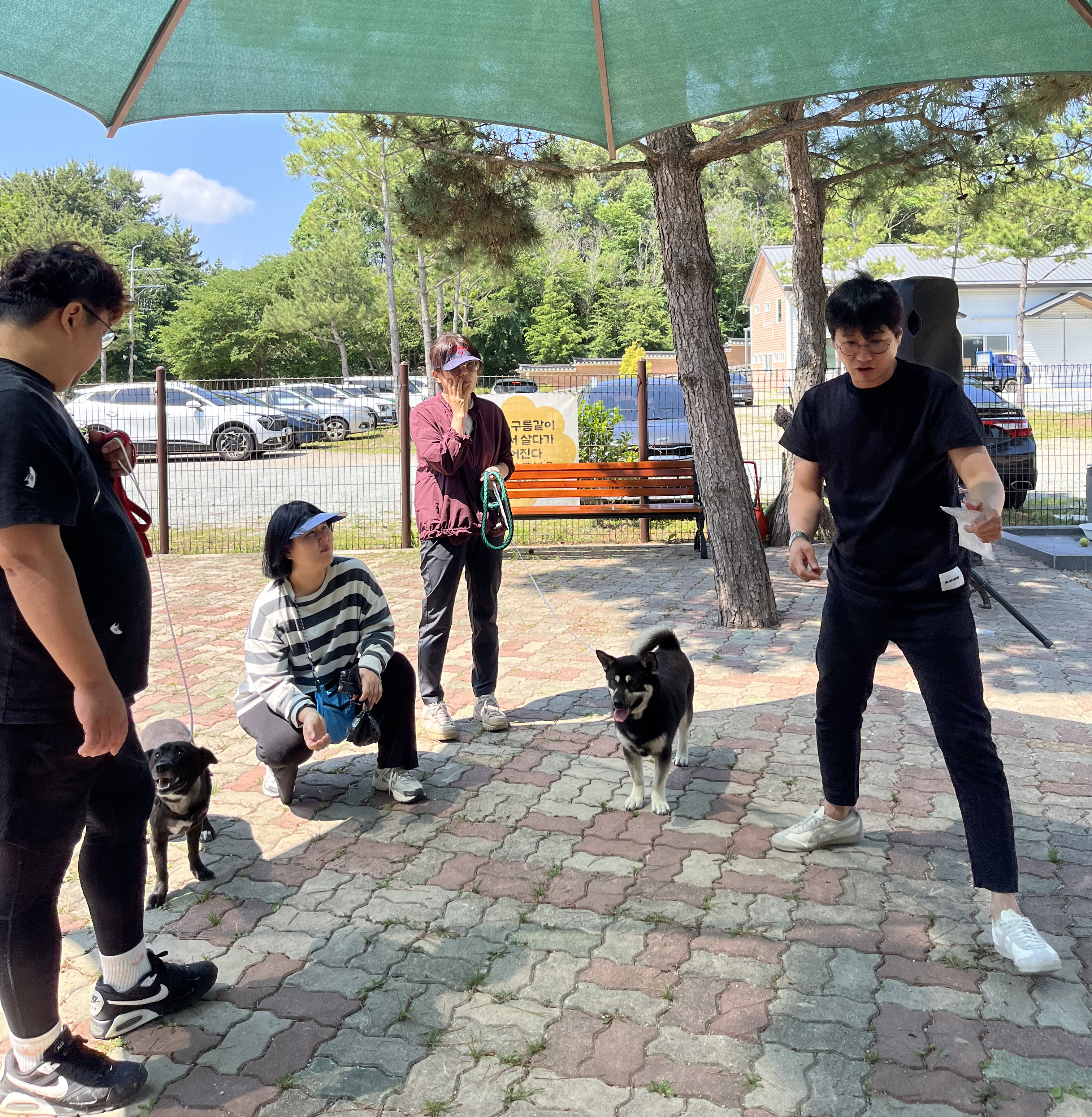 통영시, 반려동물 행동교정 교육 실시