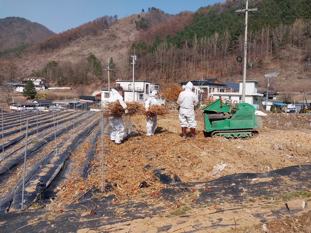단양읍, 봄철 산불조심기간 ‘무사고’ 종료
