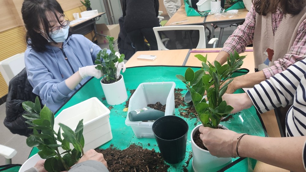 강동구, 반려식물 클리닉 운영