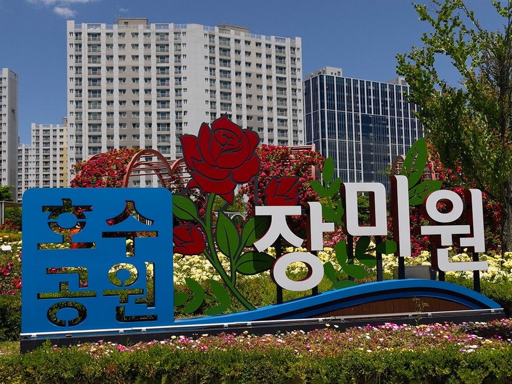 김포한강신도시 호수공원 장미원, 김포에 이렇게 예쁜 힐링 스팟이 있었나 싶을거에요!