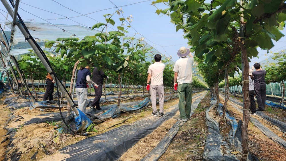 금산군, 디지털 혁신 가속 자체 클라우드 정보시스템 전환