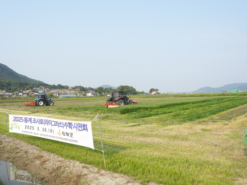 강화군, 축산농가 경영 돕는 조사료 수확 시연회 개최