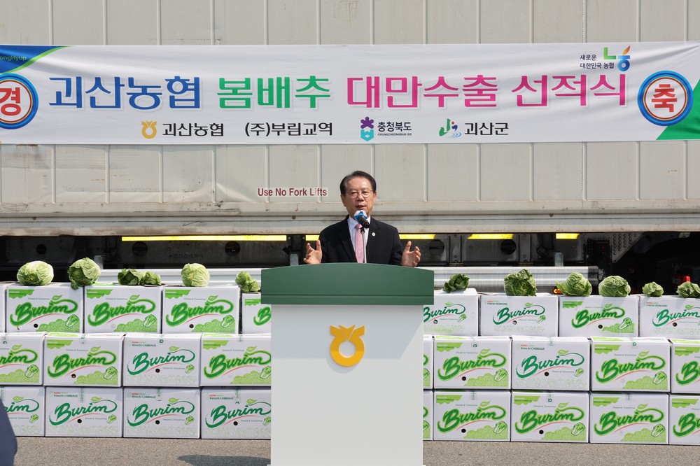 괴산군, 괴산배추 937톤 대만 수출…10년 연속 수출 기록 이어간다