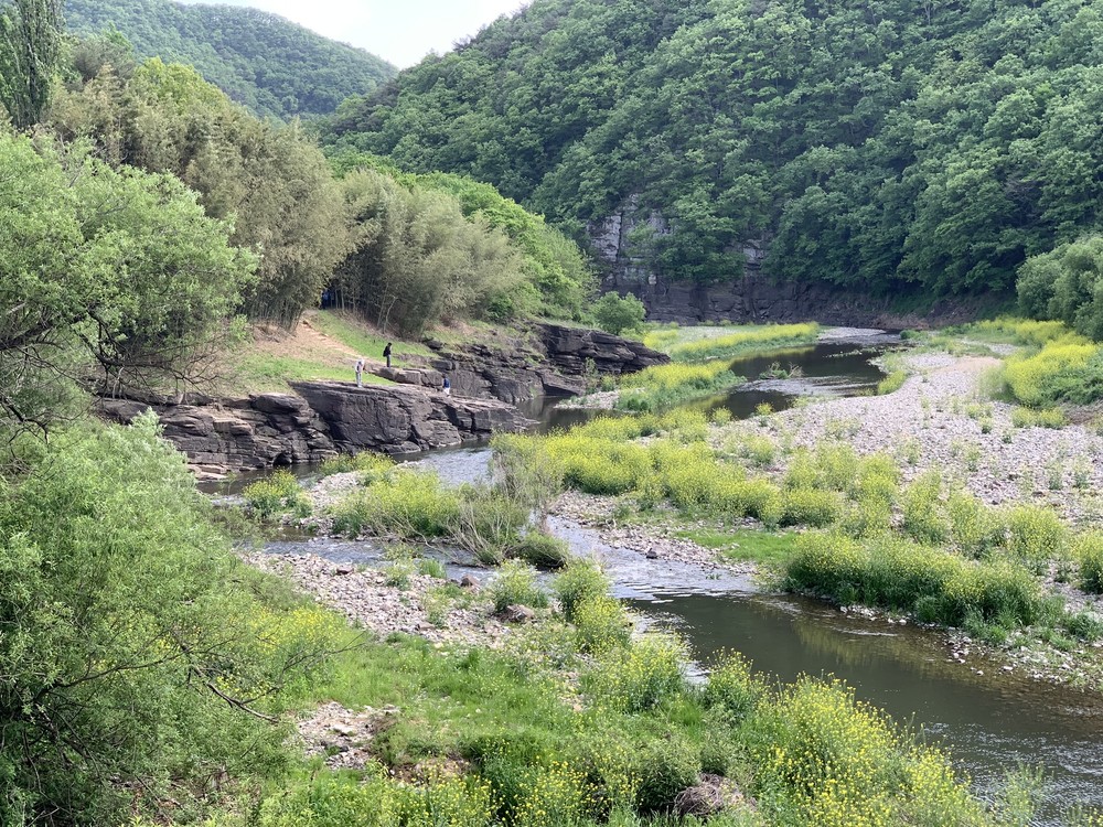 울산시, 울산스타트업허브 입주기업 모집