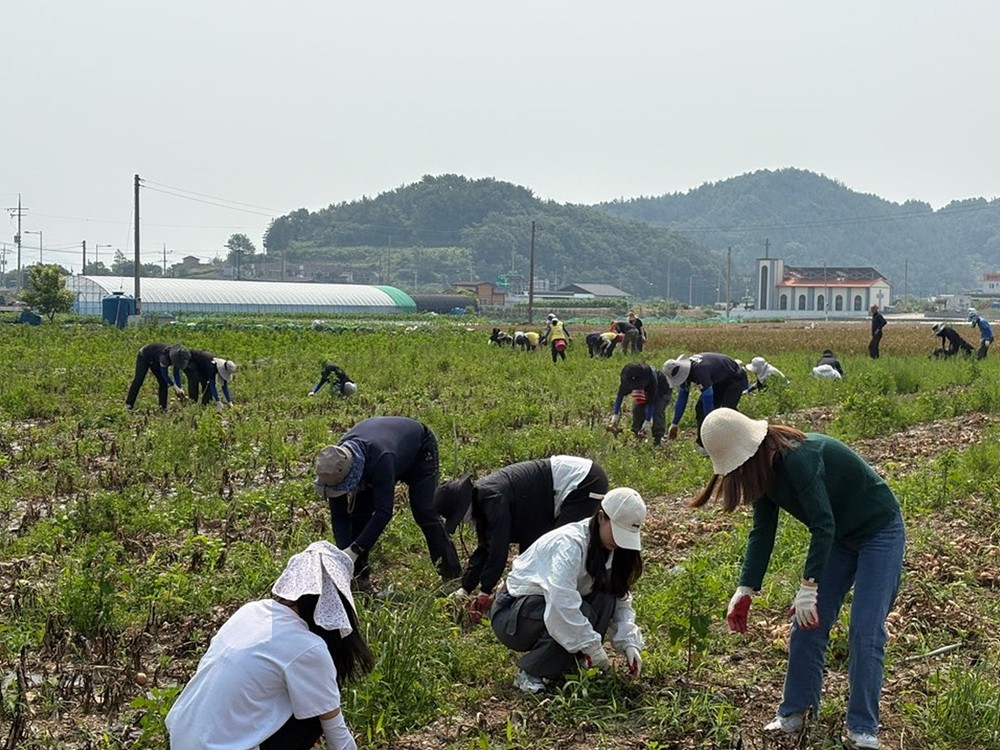 여수시, 올해도 봄철 농번기 농촌 일손 돕기 ‘앞장’
