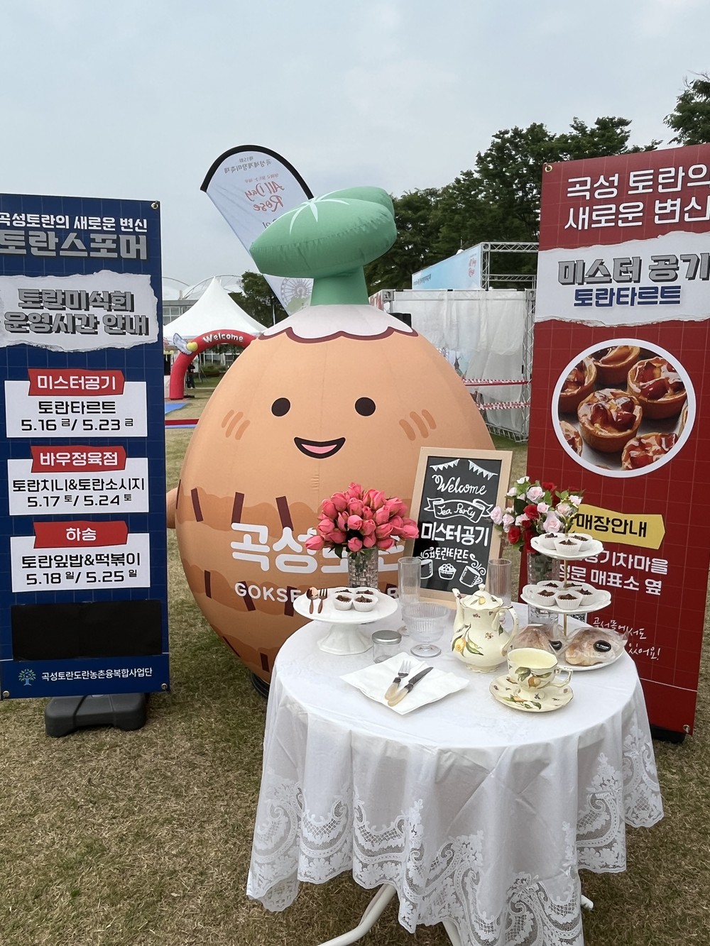 곡성토란도란 농촌융복합사업단, 곡성토란의 진가를 알리다