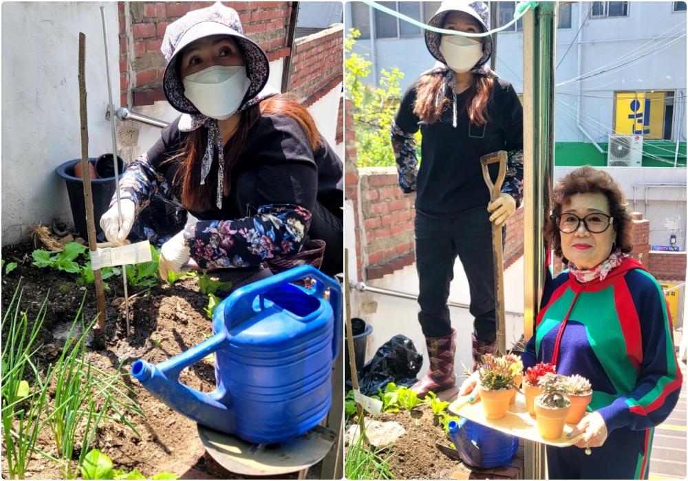 인천 남동구 만수3동 경로당에 후원 식물(감나무, 다육식물) 전달