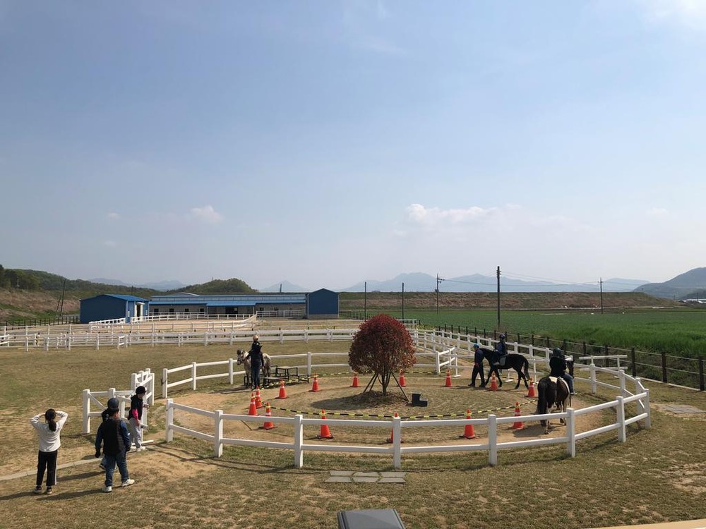 함안군승마공원, 자유학기제 승마체험 프로그램 운영