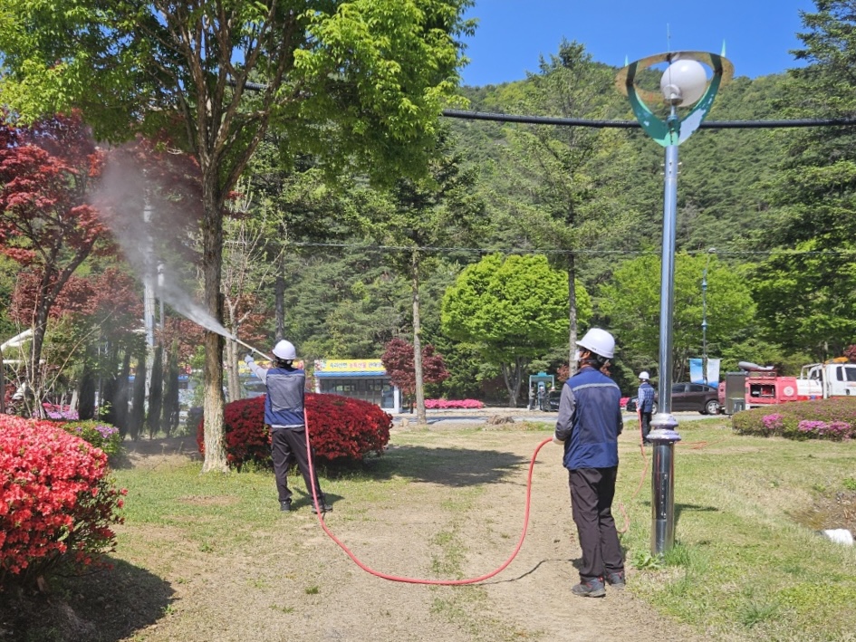 보은군, 2025년 산림병해충 대책본부 운영