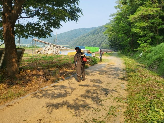 연풍면, 주요 도로변 및 마을안길 풀베기·환경정비 실시