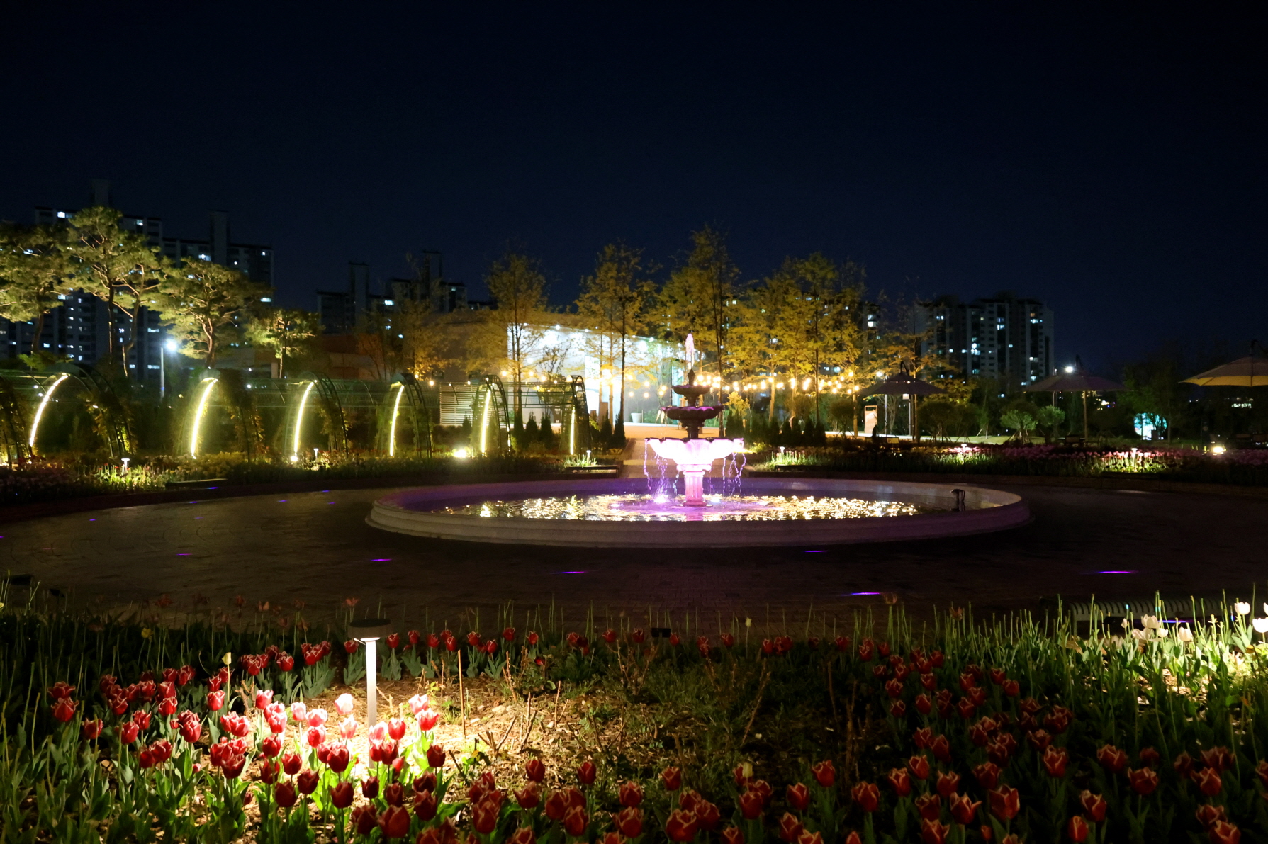 5월 수원수목원 야간 운영 ‘밤빛 정원’에 1만 3000여 명 찾았다