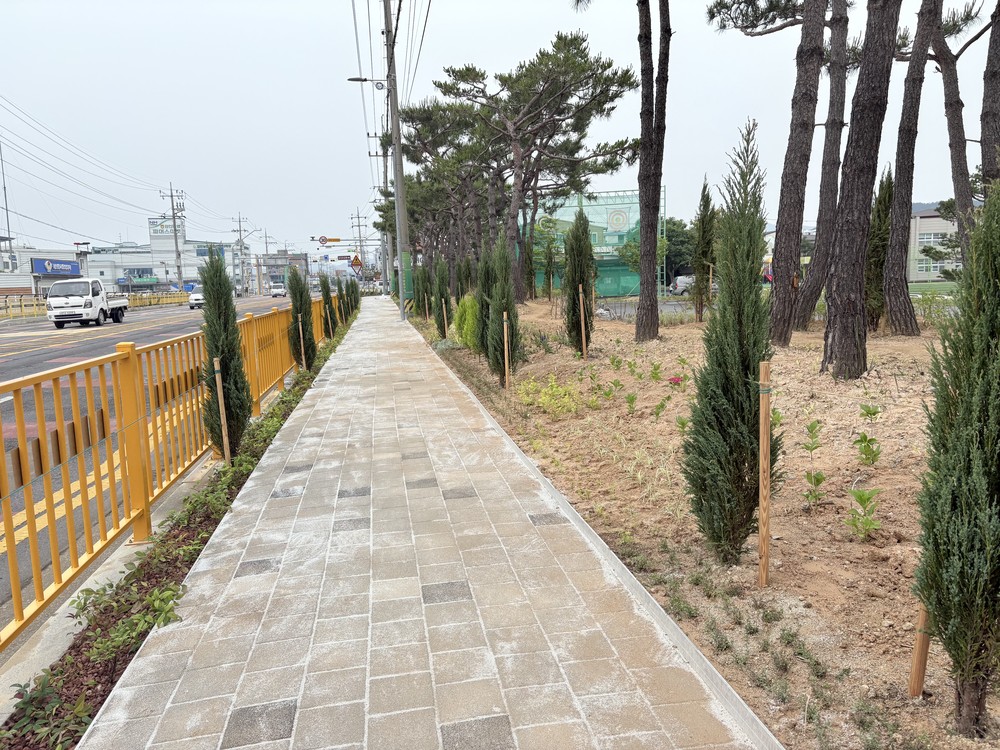 강진군, 자녀안심그린숲으로 ‘초록 쉼터’ 선물
미세먼지 차단, 정서 안정, 학습 집중력 향상 등 다각적 효과