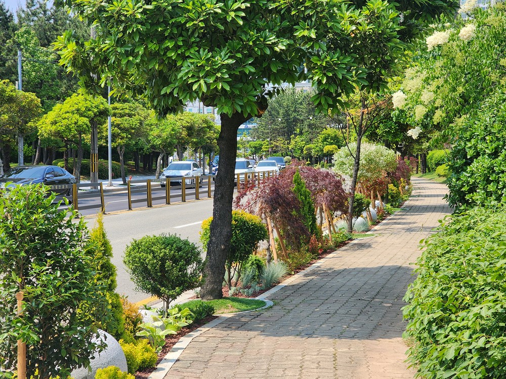 통영 원문로, 입체적‘명품가로숲길’로 새단장
