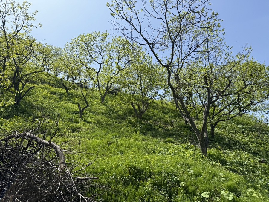공주시, ‘2026년도 산림소득분야 보조사업’ 설명회 개최