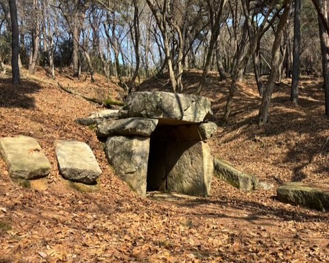 정읍시, 백제 중방문화권 핵심 유적 ‘은선리와 도계리 고분군’ 발굴조사 착수