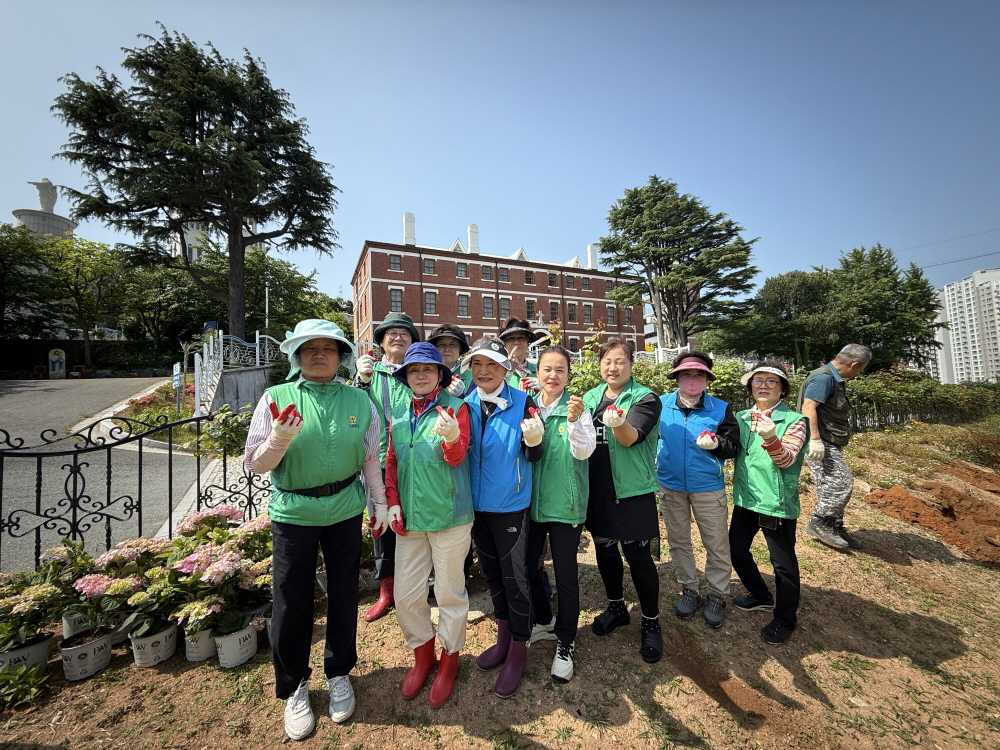 대성동, 목포·신안 통합 염원 담은 수국 꽃밭 조성