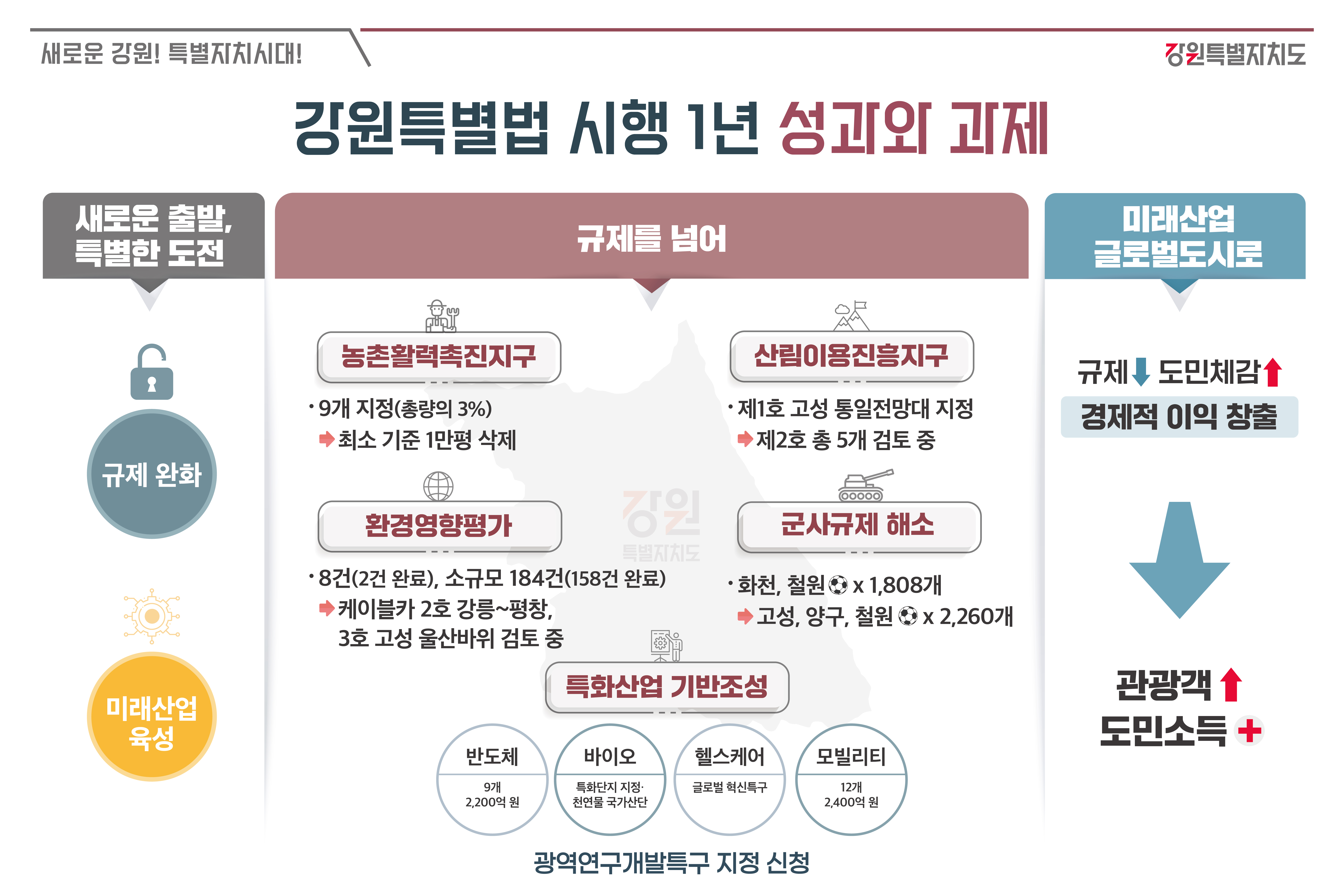 강원특별법 전부개정 시행 1년 주요성과와 과제(개요)