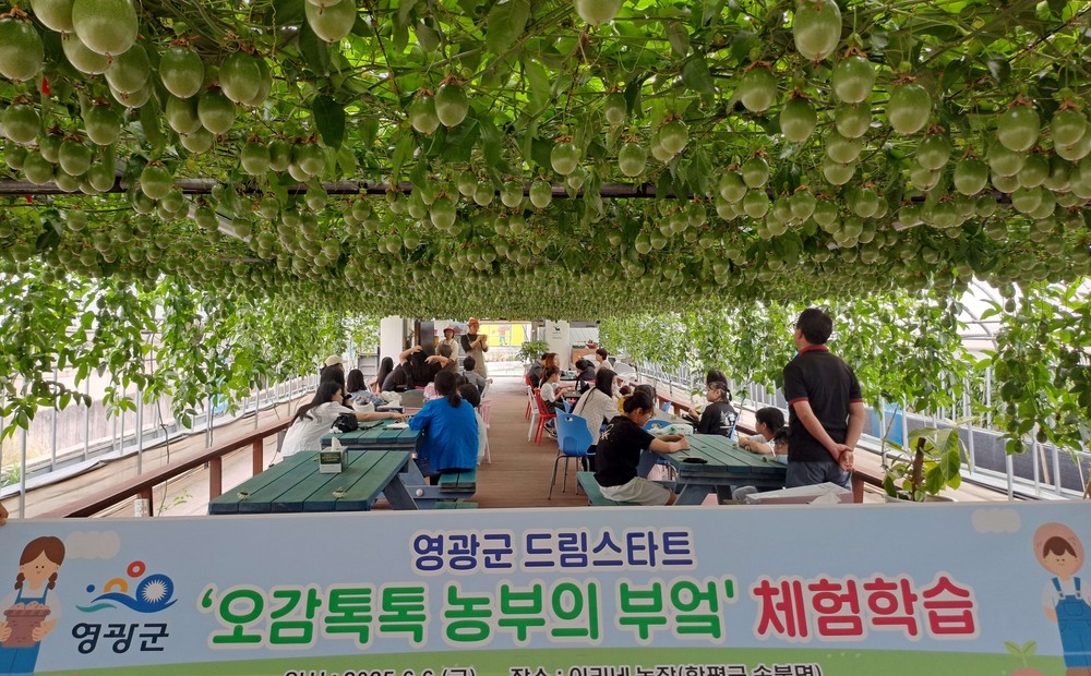 영광군 드림스타트, 가족과 함께하는 오감톡톡 농부의 부엌 체험 추진