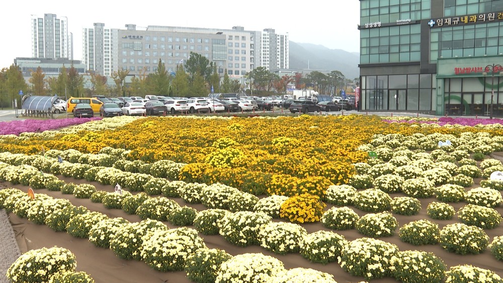 예산군, 유휴지 국화원 조성 본격 추진