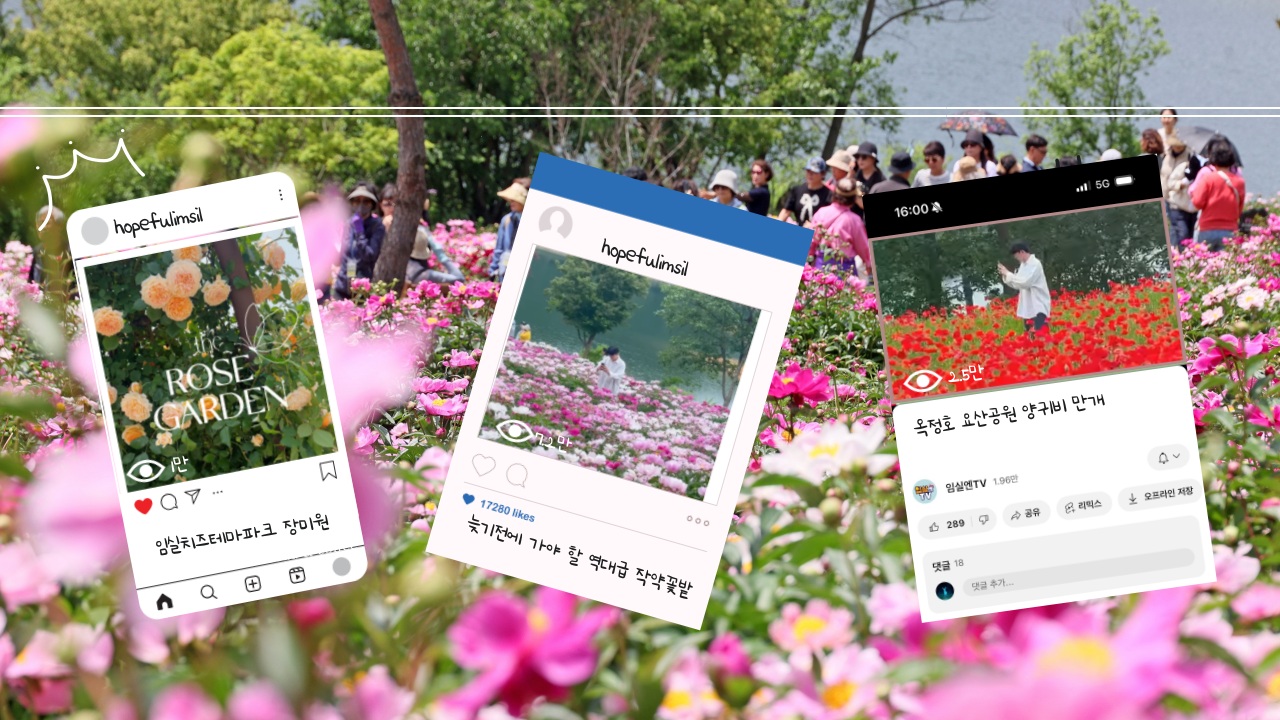 임실군 봄꽃 SNS 콘텐츠‘대박’…한 달 만에 30만 뷰 돌파