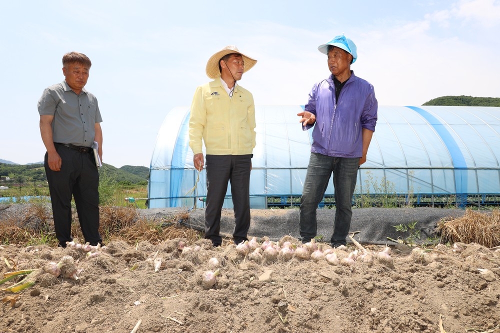 전춘성 진안군수, 마늘재배 현장 찾아 소통행정 본격화