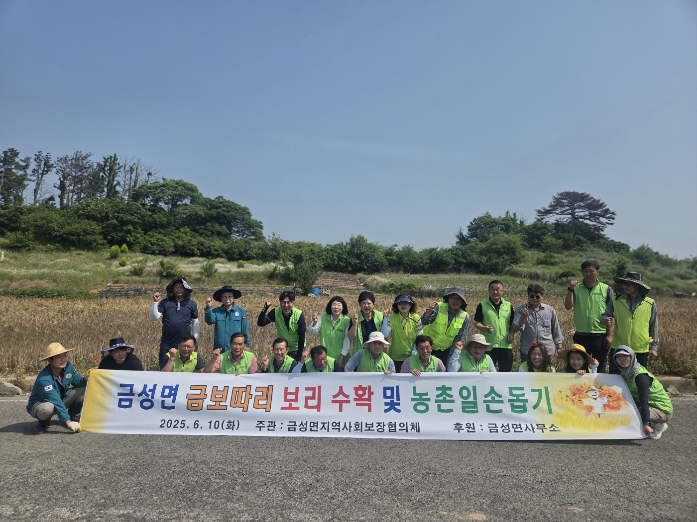 금성면 지사협 “금보따리”, 지역주민과 함께 보리 수확