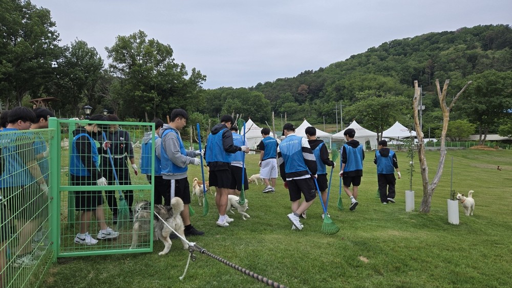 군산시자원봉사센터, ‘함께 걷는 행복 반려(유기)견 돌봄데이’ 운영