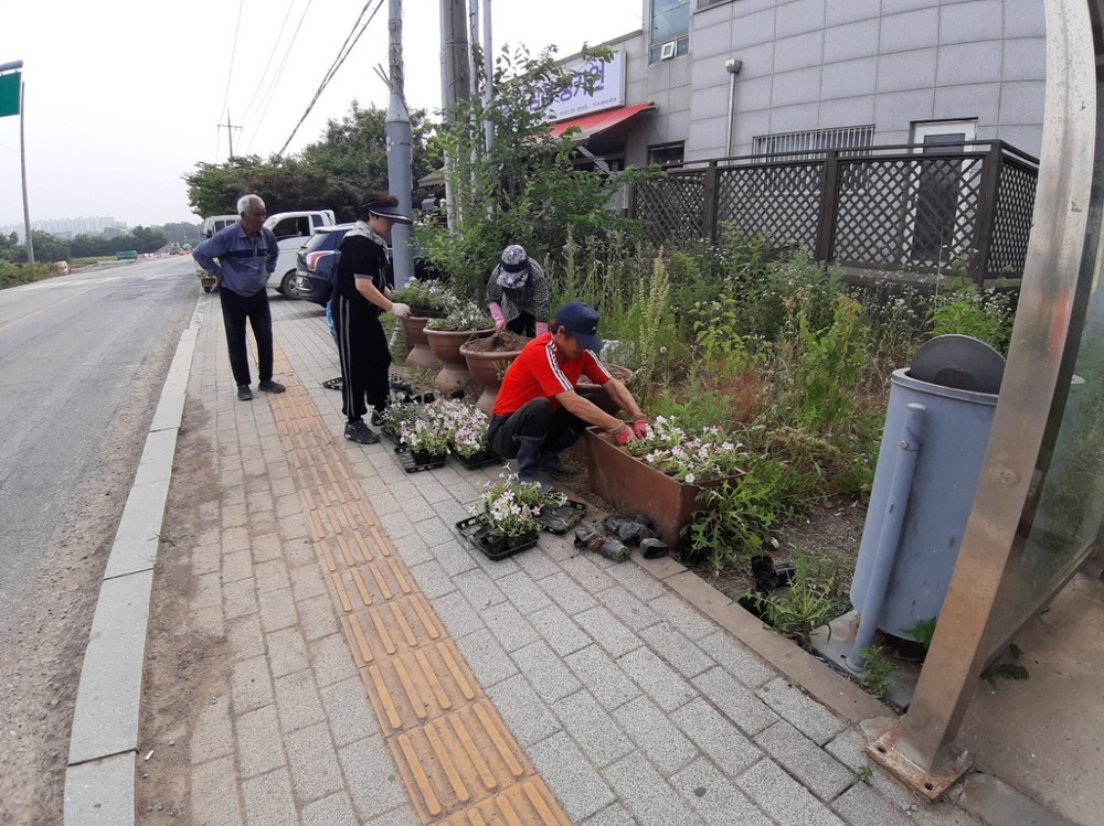 현덕면 바르게살기운동위원회, 여름꽃 심기 행사