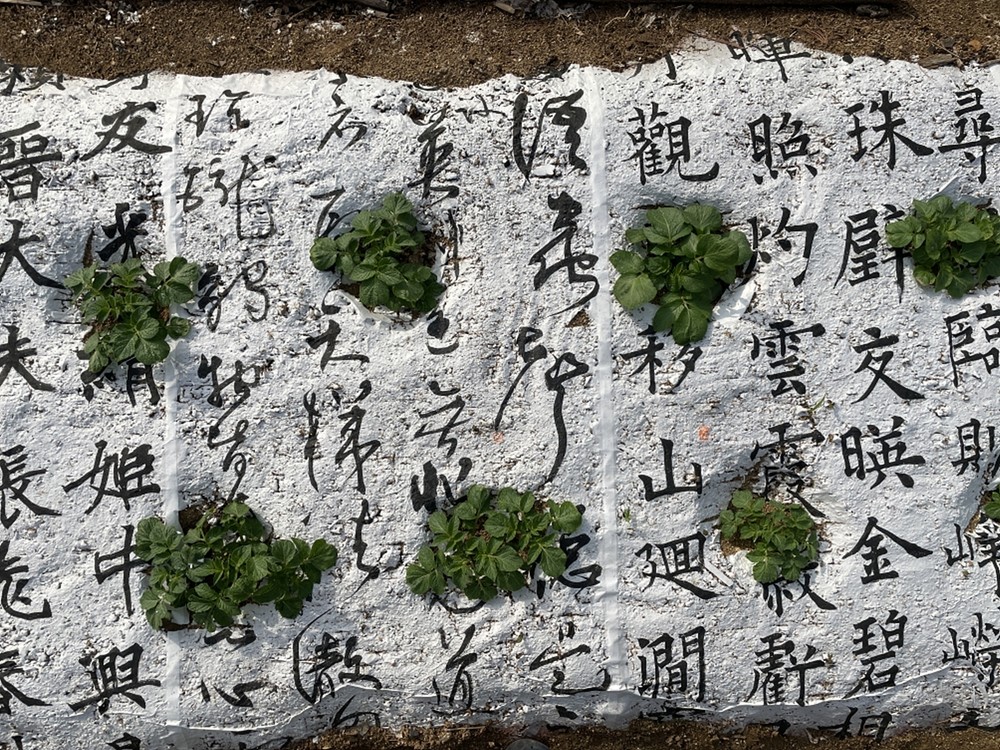 대구문화예술회관미술관 기획, 동시대를 대표하는 중견작가 김희선, 이정, 심윤, 정지현 4인의 전시
