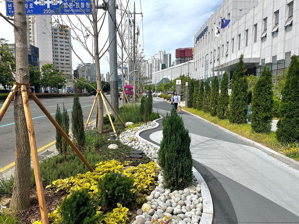 연제구, 거제대로 가로정원 조성 완료…도심 속 녹색쉼터 제공
