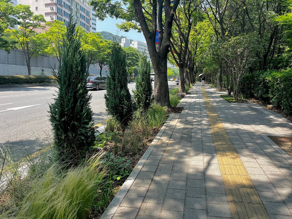 연제구, 창신초등학교 일원에 ‘그린등굣길’ 조성