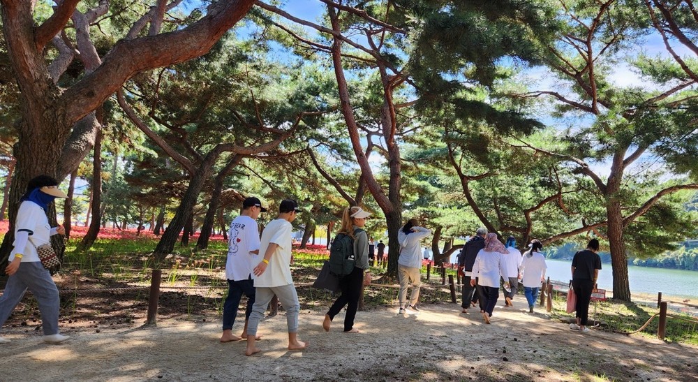 ‘자연을 걷다, 건강을 얻다’ 하동송림 공원에서 맨발 힐링
