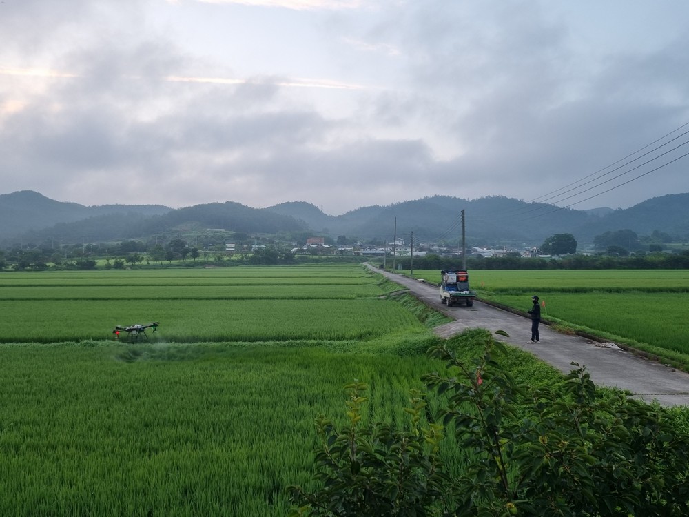 화순군, 벼 친환경재배지 공동방제비 지원