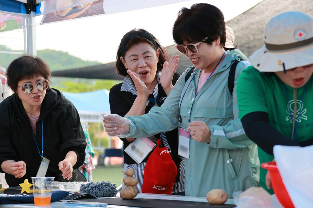 감자 쌓고 흥을 더하다… 감물감자축제 개막