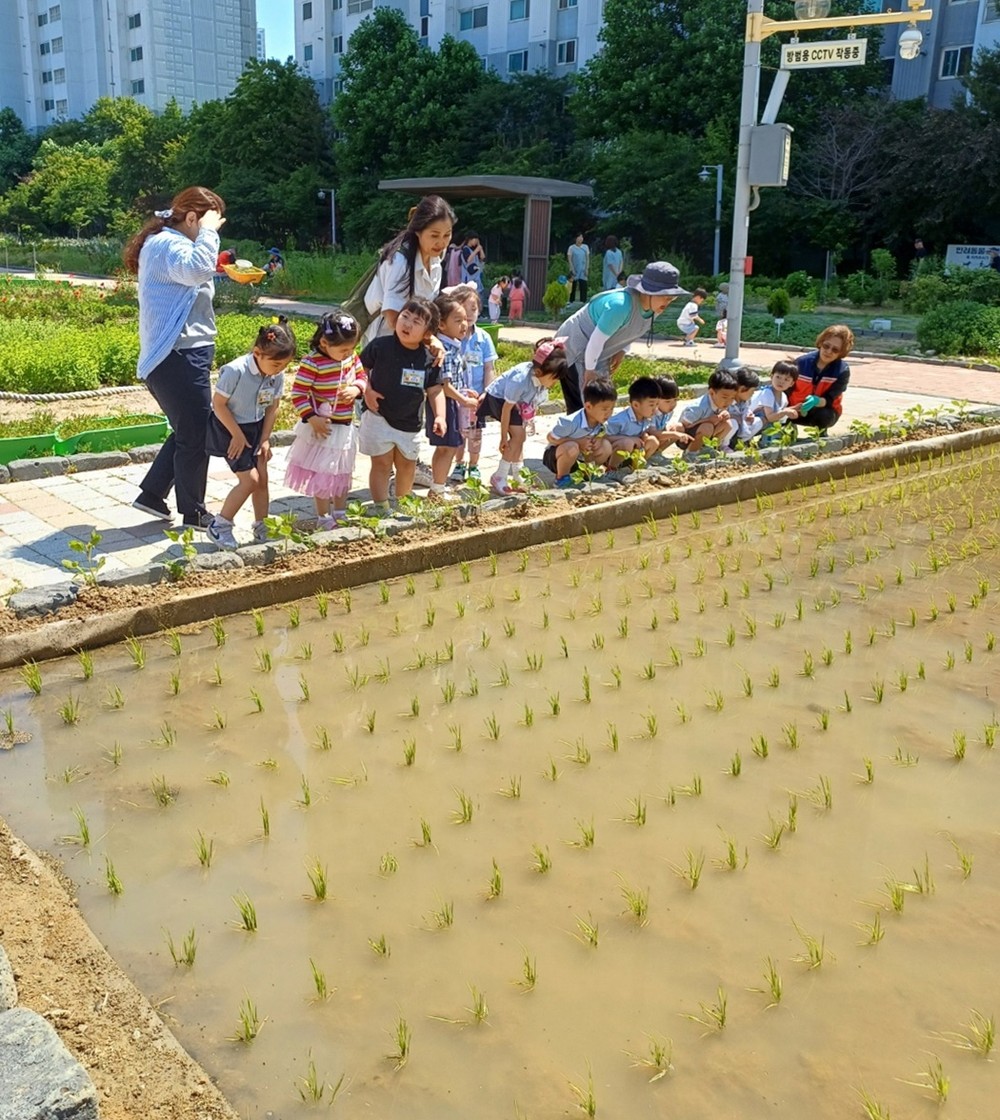 미추홀구, 용현 도시농업공원에 ‘텃논’ 조성…도시농업 실현