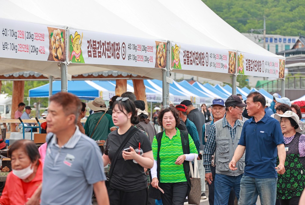 “감자에 반하고, 감물에 반한 3일”… 제14회 감물감자축제 성황리 종료