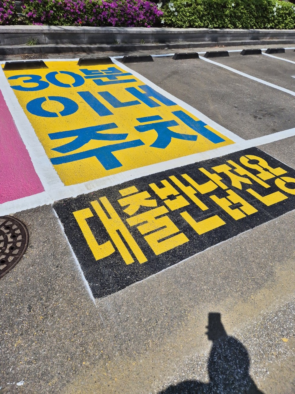 수원시, 공공도서관 15개소에 ‘도서 대출·반납 전용 30분 주차 공간’ 설치
